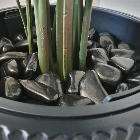 Livation - Hamm-mitte - 2 Zi - Nespresso - Smarttv - Freewifi - Ausgestattete Küche - 24h Check-in - Bis 4 Pers Pro Apartamento